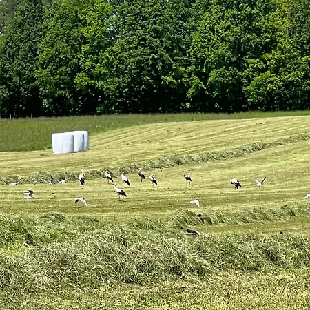 Cuda Wianki Mazury Villa Nowa Ukta