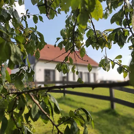 Cuda Wianki Mazury Villa *