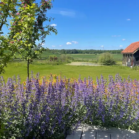 Cuda Wianki Mazury * Nowa Ukta