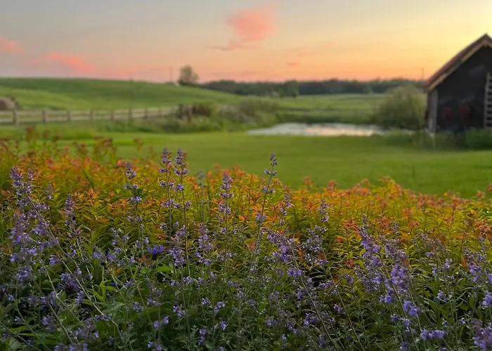 Villa Cuda Wianki Mazury *