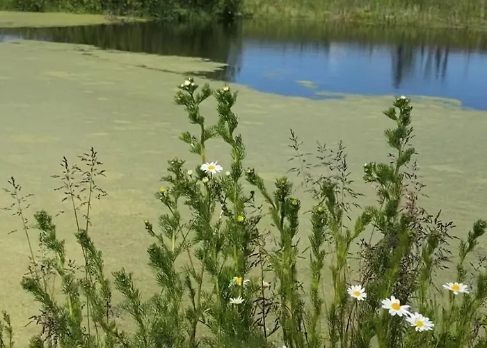 Villa Cuda Wianki Mazury